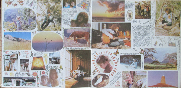 Johnny Rivers : Home Grown (LP, Album)