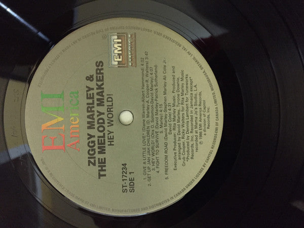 Ziggy Marley & The Melody Makers* : Hey World (LP, Album)