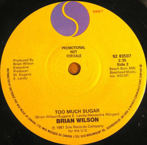 Brian Wilson : Let's Go To Heaven In My Car (7", Promo)