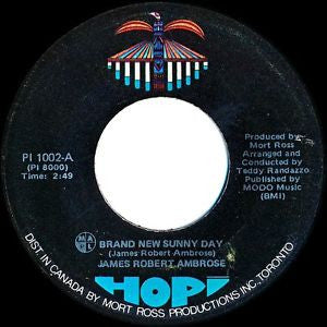 James Robert Ambrose : Brand New Sunny Day (7")