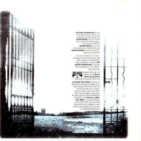 Dave Hole : Outside Looking In (CD, Album)