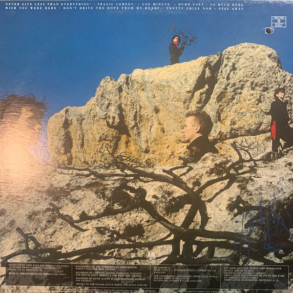 Immaculate Fools : Dumb Poet (LP, Album)