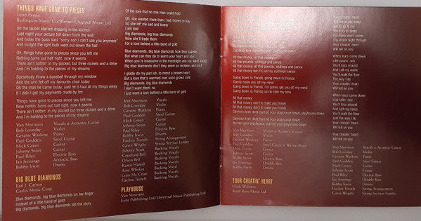 Van Morrison : Pay The Devil (CD, Album)