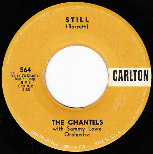 The Chantels with The Sammy Lowe Orchestra : Still / Well, I Told You (7", Single)