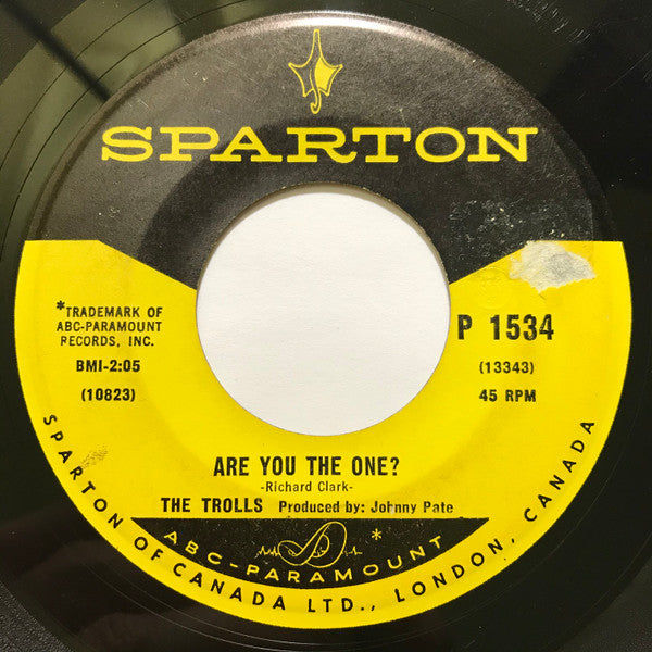 The Trolls : Every Day And Every Night / Are You The One? (7")