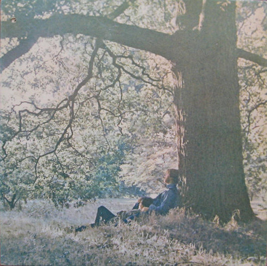 Yoko Ono / Plastic Ono Band* : Yoko Ono / Plastic Ono Band (LP, Album, Jac)