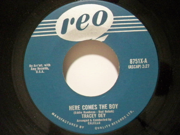 Tracey Dey : Here Comes The Boy / Teddy's The Boy I Love (7", Single)