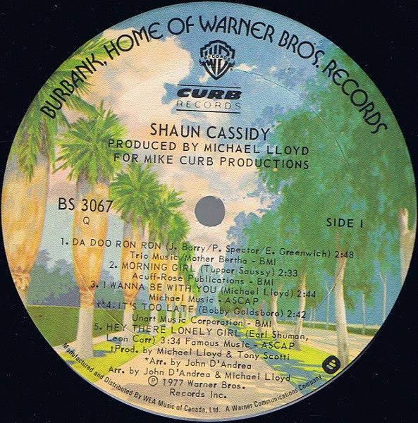 Shaun Cassidy : Shaun Cassidy (LP, Album)