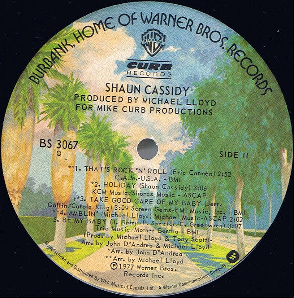 Shaun Cassidy : Shaun Cassidy (LP, Album)