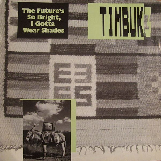 Timbuk 3 : The Future's So Bright, I Gotta Wear Shades (7", Single)