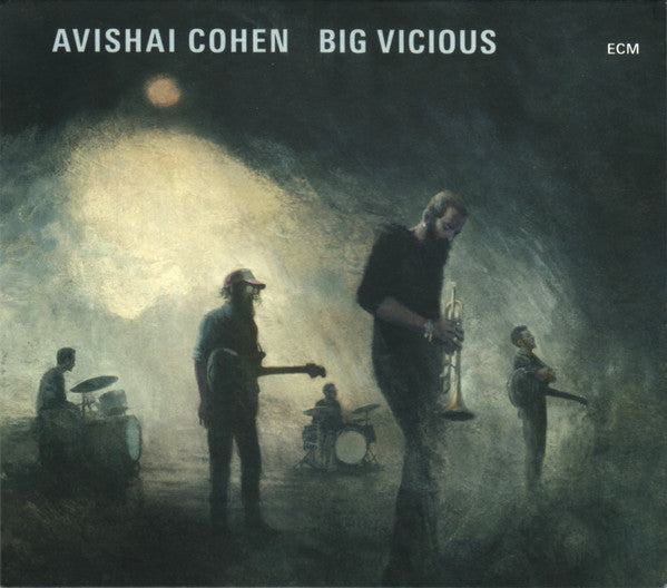 Avishai Cohen* : Big Vicious (CD, Album)