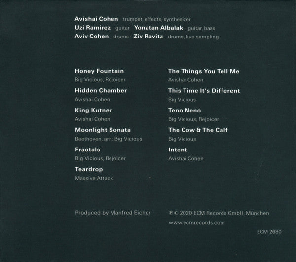 Avishai Cohen* : Big Vicious (CD, Album)