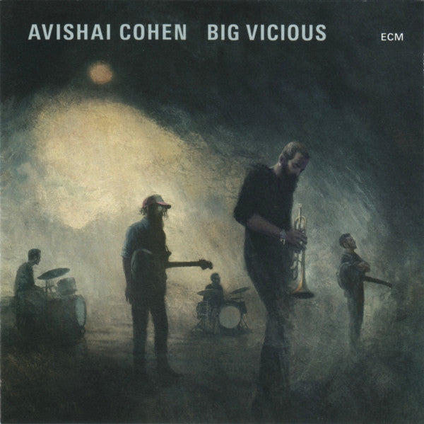 Avishai Cohen* : Big Vicious (CD, Album)