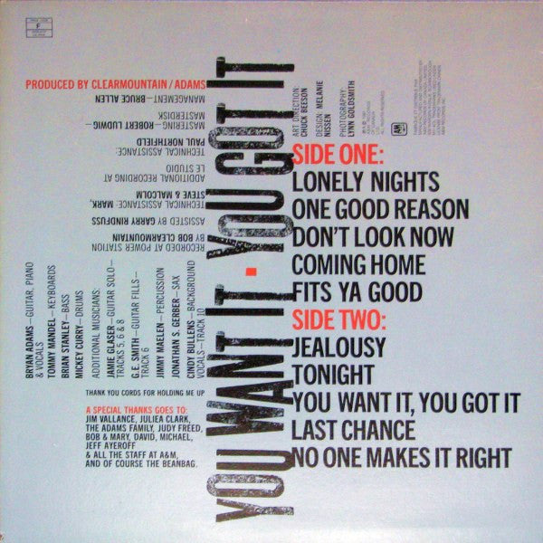 Bryan Adams : You Want It, You Got It (LP, Album)