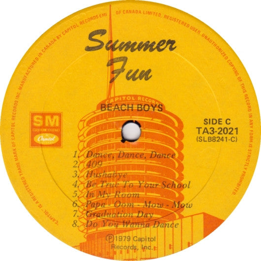 The Beach Boys : Summer Fun (2xLP, Comp)