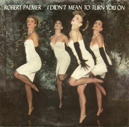 Robert Palmer : I Didn't Mean To Turn You On (7", Single)
