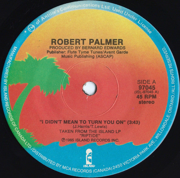 Robert Palmer : I Didn't Mean To Turn You On (7", Single)