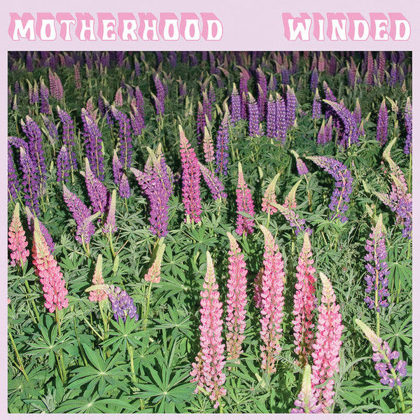 Motherhood (2) : Winded (CD, Album)