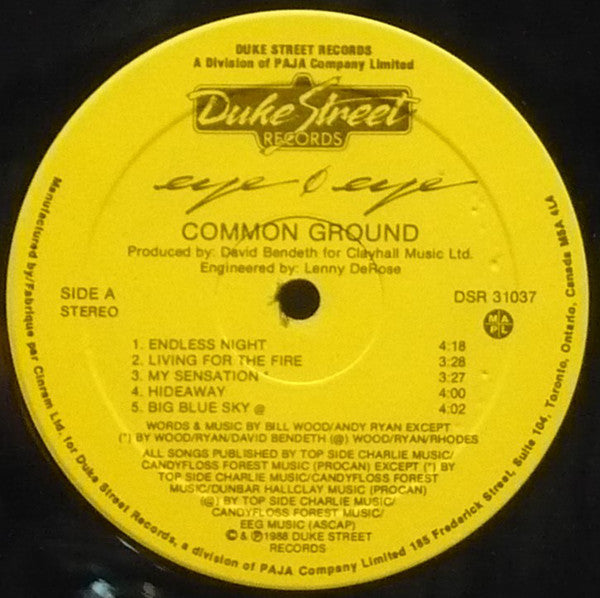 Eye Eye : Common Ground (LP, Album)