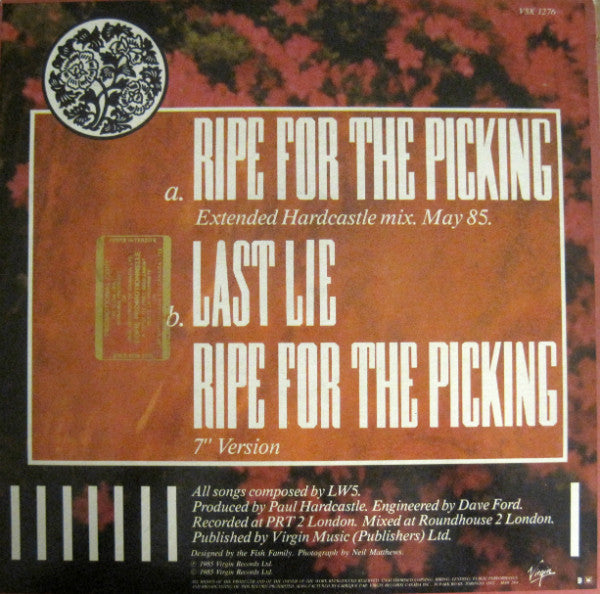 LW 5 : Ripe For The Picking (12")