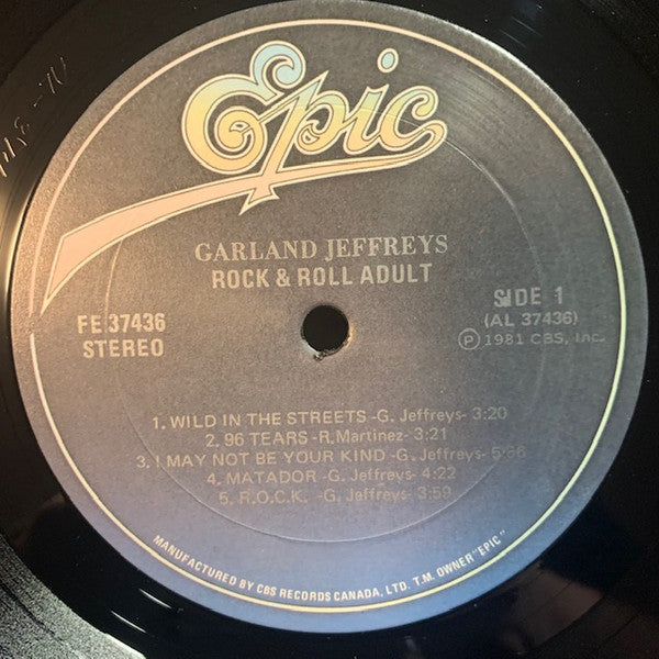 Garland Jeffreys : Rock & Roll Adult (LP, Album)