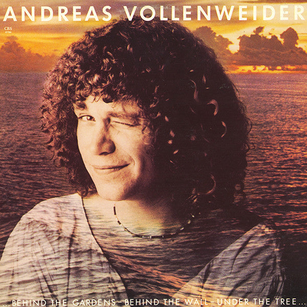 Andreas Vollenweider : ... Behind The Gardens - Behind The Wall - Under The Tree ... (LP, Album)