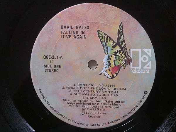 David Gates : Falling In Love Again (LP, Album)