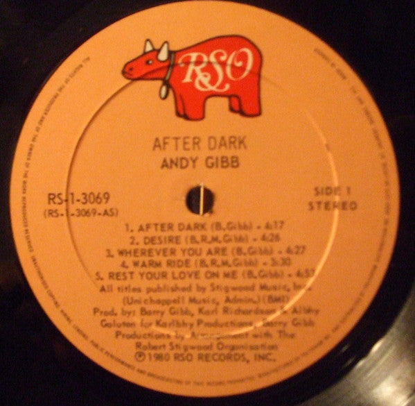 Andy Gibb : After Dark (LP, Album)