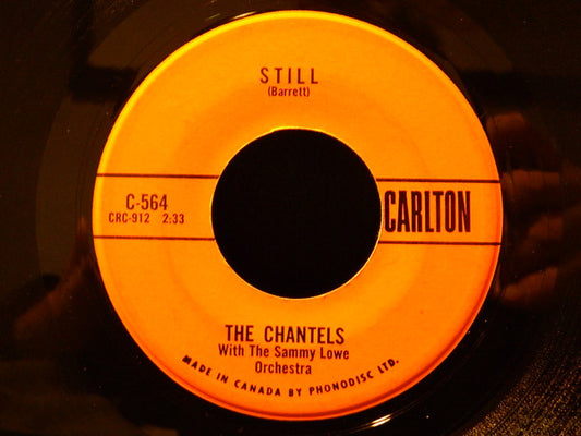 The Chantels with The Sammy Lowe Orchestra : Still / Well, I Told You (7", Single)
